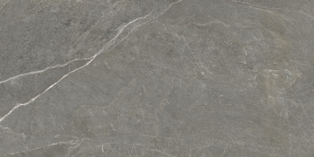 20063423 - HALCON 600/1200 TEMPO ASH MATE RETT 22154