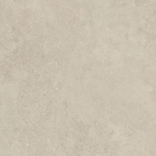 20066069 - ATLAS 600/600 BOOST ICOR DUST RETT AYBA