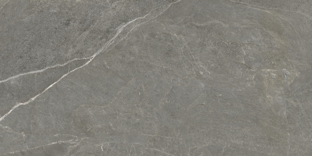 20063427 - HALCON 600/1200 TEMPO ASH PULIDO RETT 4495